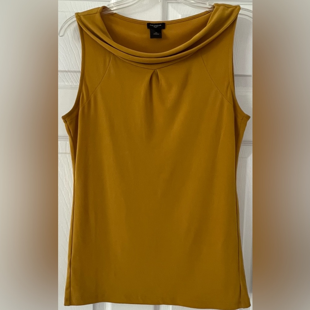 Ann Taylor Top